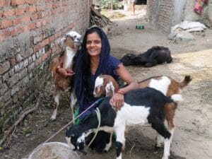 Lady with her goats in a village in Nepal